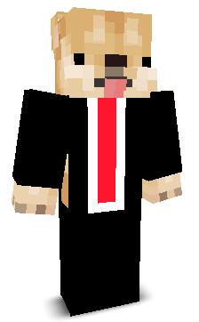 r1zuu_'s skin