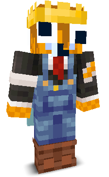 TheW4ffIe's skin