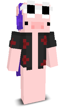 WarPigKDR's skin