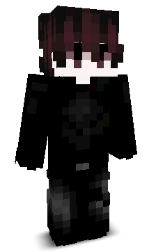 Michalpro5713's skin