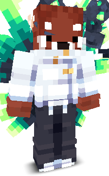 No_Panda's skin
