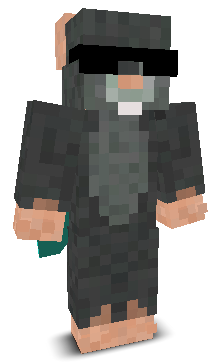 wttpx's skin