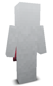 IverPlaysMC's skin