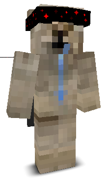 INTERM's skin