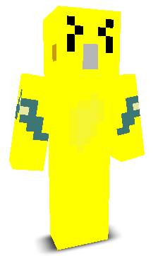 FLIPIN_COCKATIEL's skin