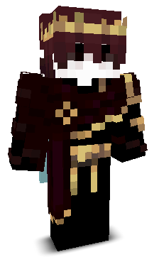 2v2main's skin