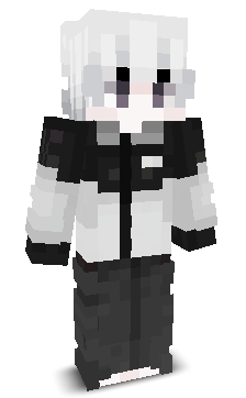 Panda133's skin