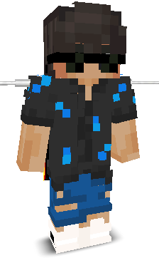 Pixelfy's skin