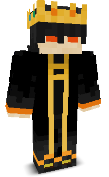 RealFl4ME_YT's skin