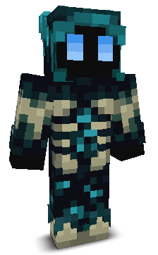 notdumb5's skin