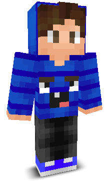 43RS's skin