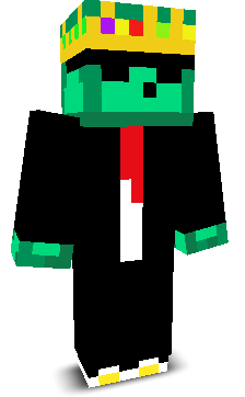 Assasin5673's skin