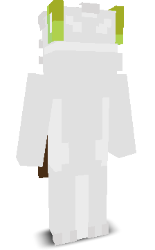 FIFLAKPL's skin
