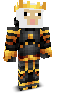 wb5000's skin
