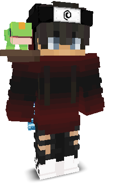 VipqrMC's skin