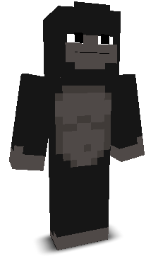 lilnga1's skin