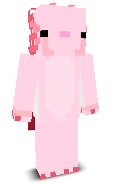 Nova_Flux's skin