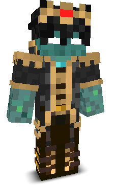 Danivgaming's skin