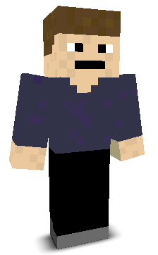 Thebarginer's skin
