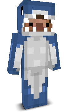 nsrr122's skin