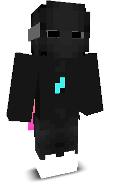 WISIEN_L33T's skin