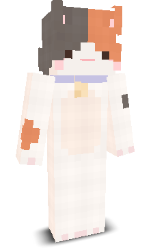 NieUmiemCombo's skin