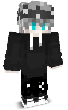 ctwhk's skin