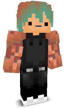 acidhurdle123's skin