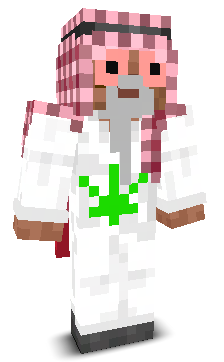 Pr00m1l's skin