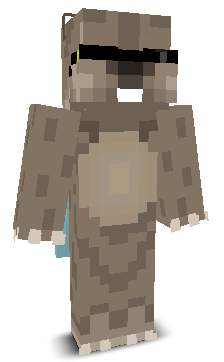 xRASIM's skin