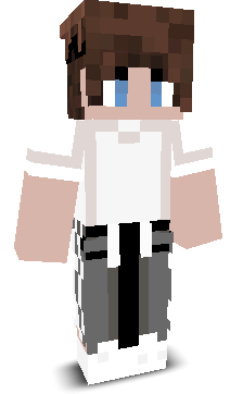 ROBOT3D's skin