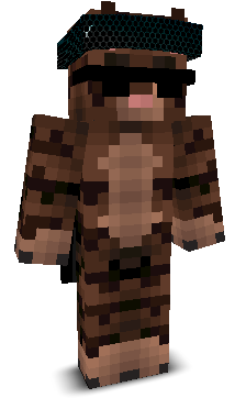 CyberFierce's skin
