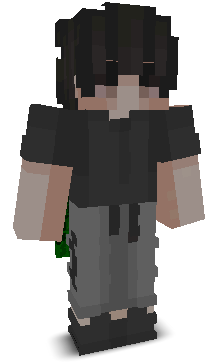 Citisphere's skin