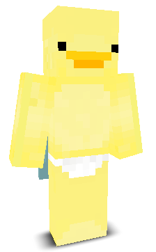 BanditGamerr's skin