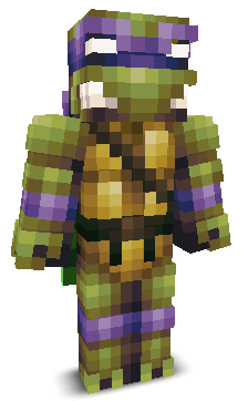 NinjaTurtle99's skin