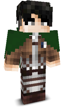 Leaf_i2011's skin