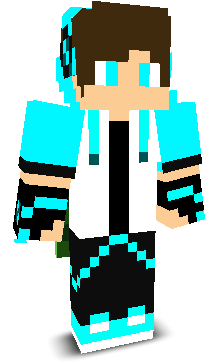 HSGamer00's skin