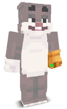 BlockGameIsCool's skin