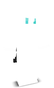 zVipeer's skin