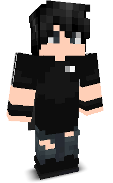 ExecVelocity's skin