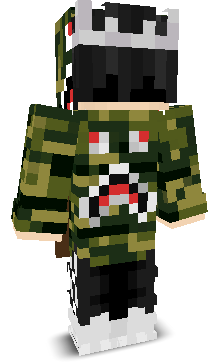 Eingespieltes's skin