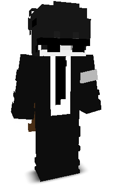 Ludumix's skin