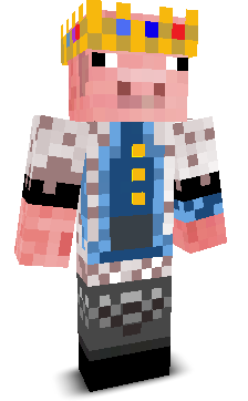 toydestroyer20's skin