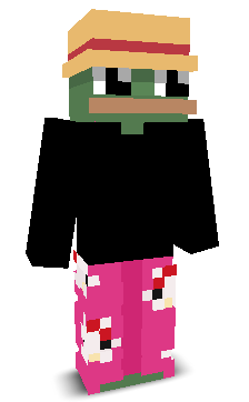 PZVNKS's skin