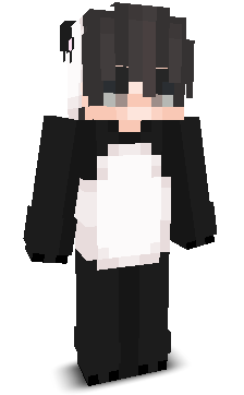 EnderMestt's skin
