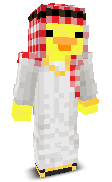 Cub1k12's skin