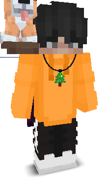 PatzerMC's skin