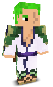 BLockC11's skin