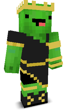 SleepyTurtle22's skin