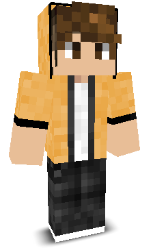 LintyRobinYT's skin